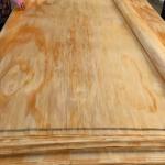 Natural Rotary Cut Veneer FSC Certificate 0.1mm 1mm For Furniture Plywood