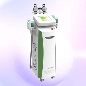China China hot sale slimming beauty machine 5 handles multifunctional cryolipolysis factory