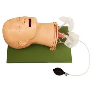 China Fully Functional Cpr Training Manikins Airway Management Model on sale