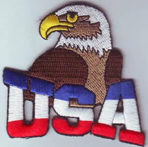 China American-flag-Eagle-Head-Bird-Patch-Iron-Embroidered-Applique-Sew-Badge-DIY American-flag-Eagle-Head-Bird-Patch-Iron factory