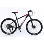Manufacture 12 Speed Gears Mountain Bike with Double Wall Rim and Classic Design