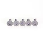 Plum Blossom Groove Step Screw Grade 10.9 Stainless Steel Fasteners Flat Head