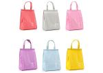 600D Polyester L/S Size Lunch Cooler Bags With Waterproof Aluminum Film