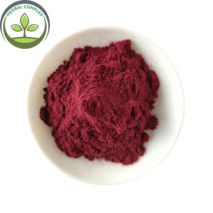 China Buy High Quality Black Carrot Juice Powder For Pigment factory