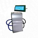 Lithium Ion Lifepo4 LTO Battery BMS 7S-32S 40A 80A With Communication