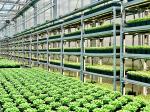 UL 100W Aluminum Alloy High PPFD Grow Light