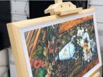 49 Inch Digital Picture Frame Wifi Photo Frame Super Slim 1080p BOE LCD Display