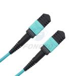 Professional Manufacturer 1 meter 12 cores Fiber Optic Patchcord OM3-300 female