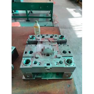 Multi Cavity Custom Plastic Injection Mold with HASCO hot runner