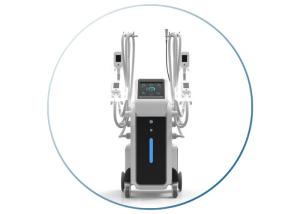 China Distributor wanted agent price cryolipolysis fat cooling weight loss cryolipolysis beauty machine factory