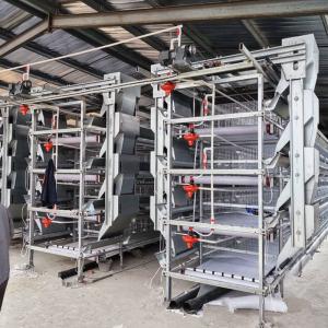 China 8.67m/Min Automatic Chicken Water Nipple Drinker Feeders System 1.2mm HDG Steel material factory