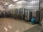 Teach You Brew Beer Free of Charge/Give You Beer Brewing Skills/Small Beer