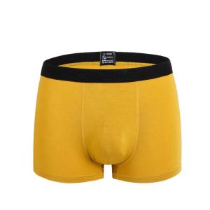 China Black RTS Boxer Cotton Men Underwear 95 Cotton 5 Spandex Underwear factory