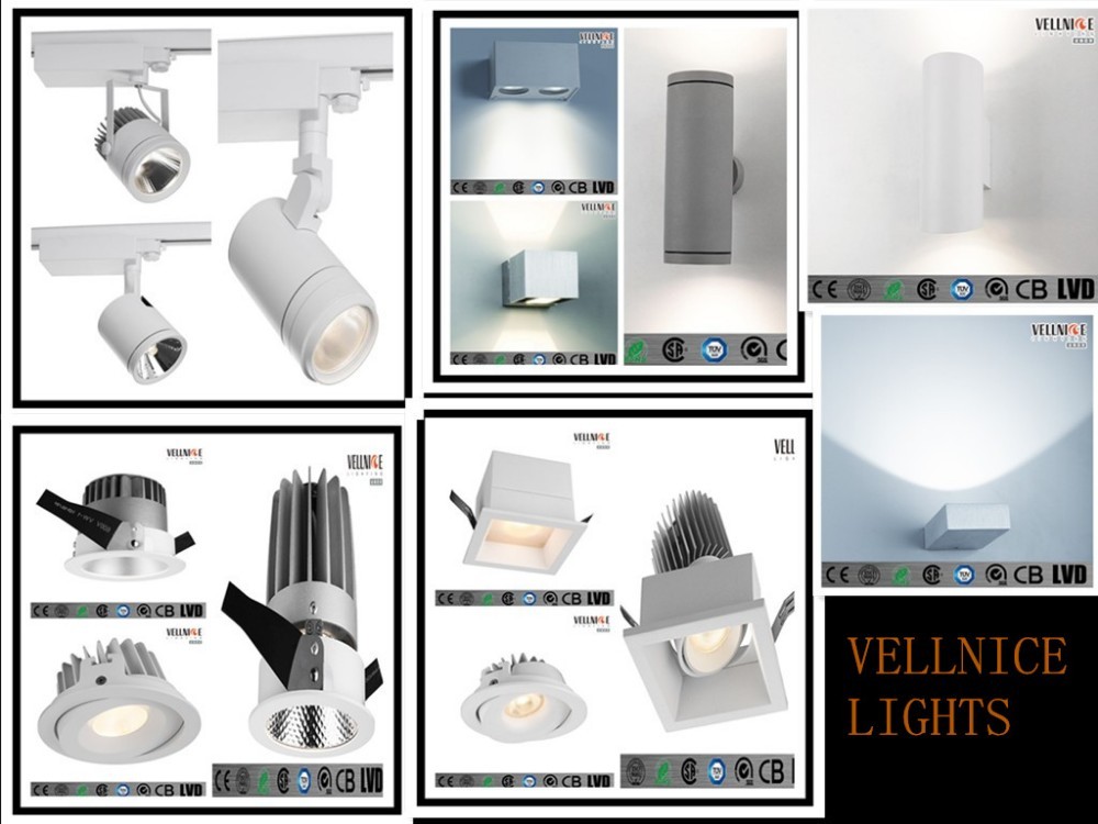 Double Heads 14W Square Adjustable COB LED Recessed Downlight 3000K 37V