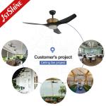 Time Setting 52" Black Gold ABS Blades Ceiling Fan with LED Light and DC Copper