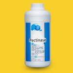 Papaya Leaf Enzymes Customized 50TU/MG-1000TU/MG 300USP-6000USP