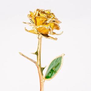 China Wholesale OEM/ODM Real Preserved Rose Dipped In Gold Rose 24k Gold Roses factory