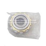 Overall Eccentric Bearing UZ313G1P6 NTN Brand bearing