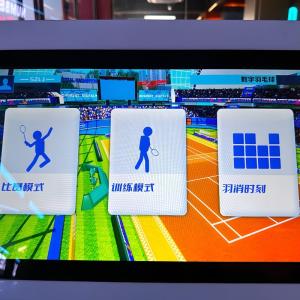 China Interactive Projection Badminton Hall Simulates Automatic Launching Throwing Machine factory