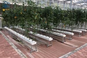 China Vegetables PVC Drainage Substrate Planting Gutter Troughs Hydroponic Trough System factory