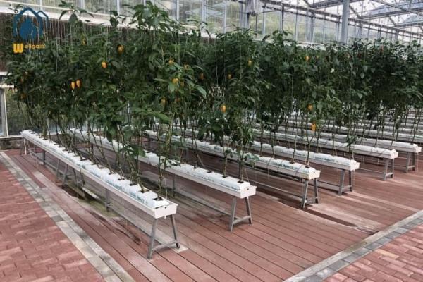 Vegetables PVC Drainage Substrate Planting Gutter Troughs Hydroponic Trough