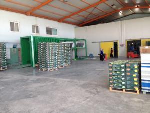China 75kw Vegetable Vacuum Cooler R404A PLC Vaporizing Moisture factory