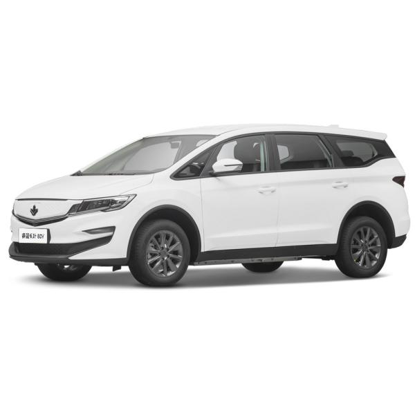 2023 Luxury 4 Seater Electric Car Lifan Maple Leaf 80v Adult Energy Vehicle 139L