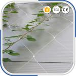 High tech AISI316 material 2.0mm thickness stainless steel rope mesh support for