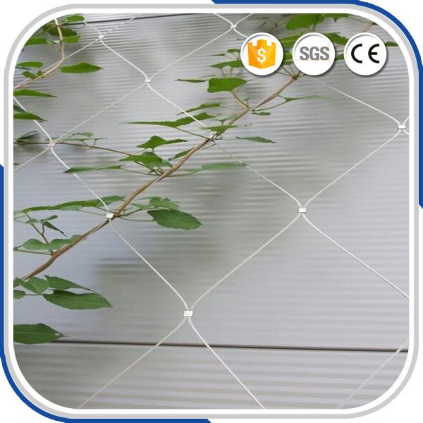 High tech AISI316 material 2.0mm thickness stainless steel rope mesh support for