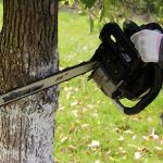 Gasoline Chain Saw 2 Stroke Single Cylinder For Wood Cutting