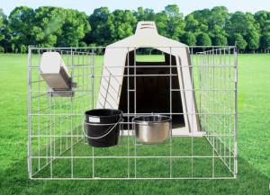 China Galvanized Mesh Length 220cm Plastic Calf Shelters Easily Clean factory