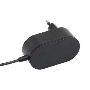 China Home Use Wall Mounted Battery Charger 20Vdc 600mA 12W With Wall Plug factory