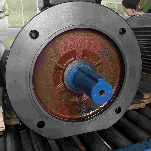 8KV High Efficiency High Voltage Induction High Power Electric Motor With Quick