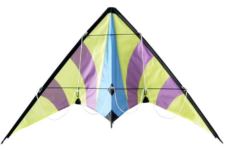 Variability of the diamond stunt kite fish sharp style with beach