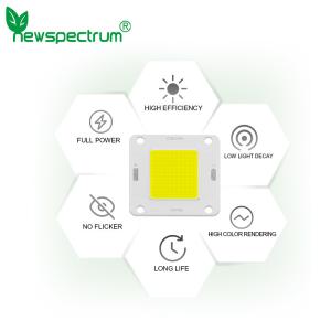 China DC 20w Led Light Beads High Brightness Cold White Solar Light Source factory