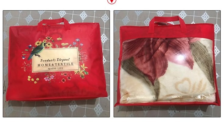 Customized Pattern Luxury 100% Polyester Raschel Mink Blanket with Microfiber Fabric