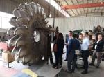 10kV Pelton Turbine Generator with 60Hz Frequency Cast Iron/Stainless Steel