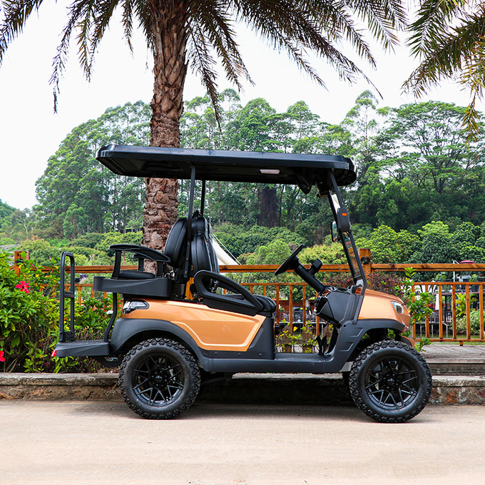 2+2 Seater Lifted Electric Golf Cart For Hilly Landscapes