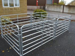 China Steel Wire Mesh Sheep Fence Panels For Sheep Farming 1040 PCS/40FT HC factory