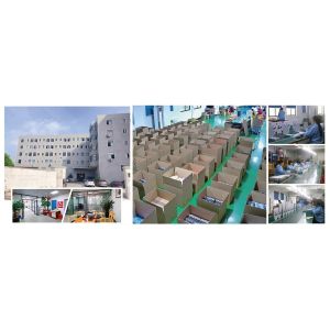 Baofeng P15UV UHF VHF Two Way Radio with Scramble Function