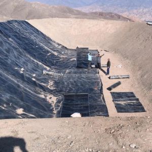 1mm Hdpe Geomembrane Waterproof Membrane for Length 50m-100m Project Solution