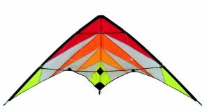 China Special picture polyester delta stunt kite , sports kite ,easy assemble for people factory