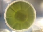 4inch 6Inch 4H-N 500mm 350um SIC wafer Silicon Carbide sic Substrate Prime Dummy