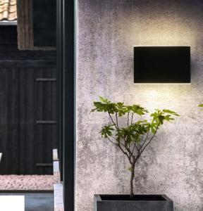 China Square Outside Solar Up Down Wall Lights 4W Integrated IP65 SMD 2835 factory