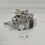 Hyunsang Loader Parts Fuel Injection Pump 2855784 2852499 For 580M