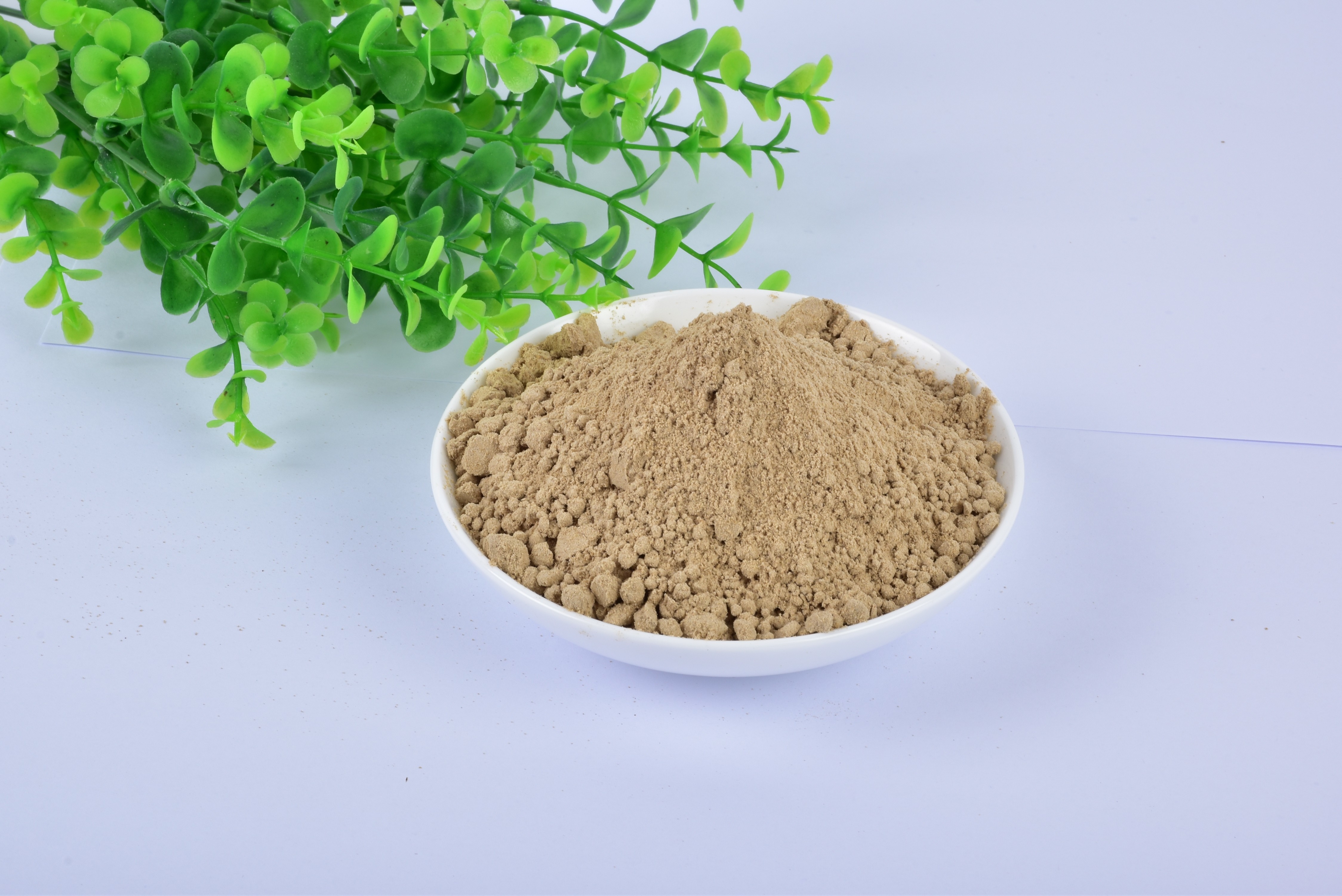 Mealworm Protein Powder Mix with Fat Content Manufactured in China