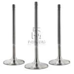 Inlet valve exhaust valve 0420 9111 0425 5255 0428 3381 04289248 04255254