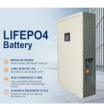 Solar Wall Mounted LiFePo4 Battery 51.2V 100ah 5Kwh 48v Power Wall Residential