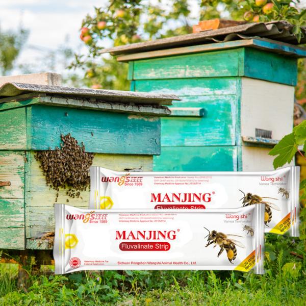 Wangshi Bee Medicine Manjing flumethrin Strip Varroa Mite Treatment for Bees 20 strips/bag
