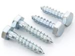 ISO9001 Certified Carbon Steel Din571 Hexagon Head Wood Screws Coach Screw